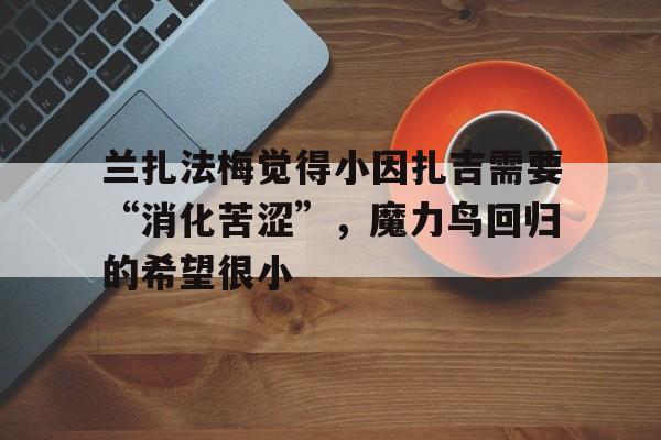 兰扎法梅觉得小因扎吉需要“消化苦涩”，魔力鸟回归的希望很小的简单介绍